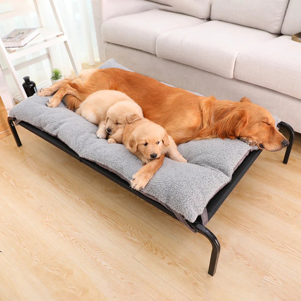 Easy Clean Machine Wash Pet Bed - Peties