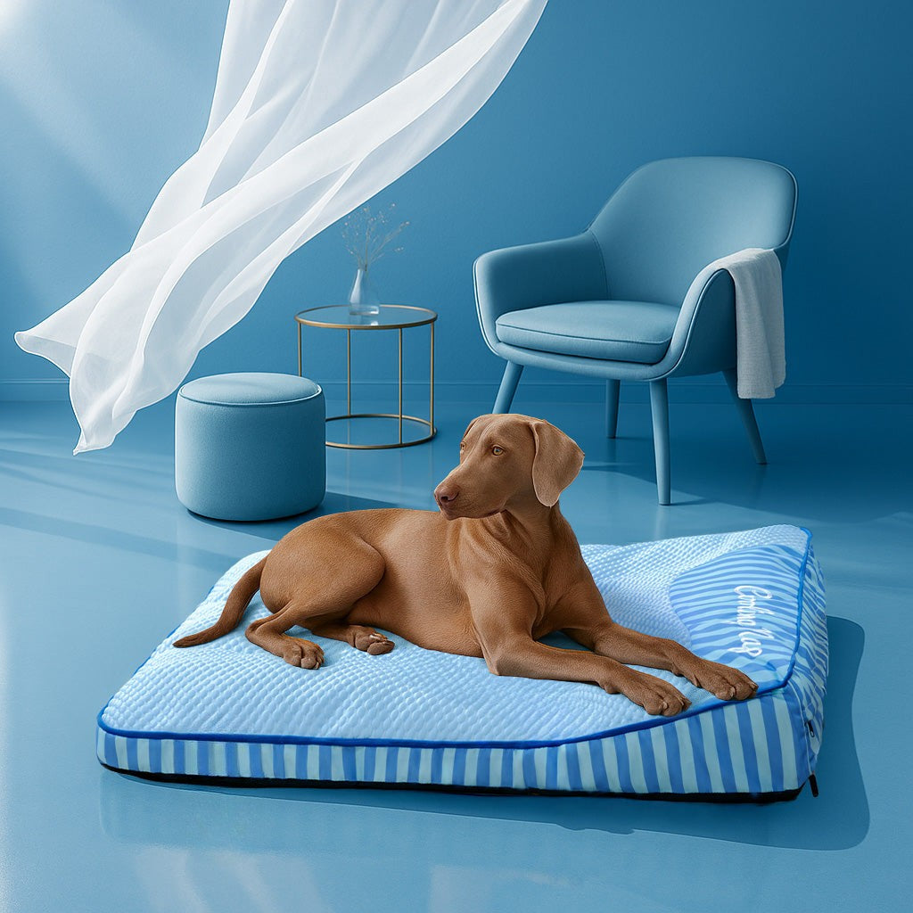 Large Comfortable Pet Bed - Breathable & Durable - Peties