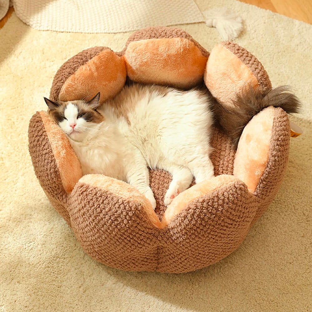 Plush Desert Cactus Pet Bed – Comfortable Sleep