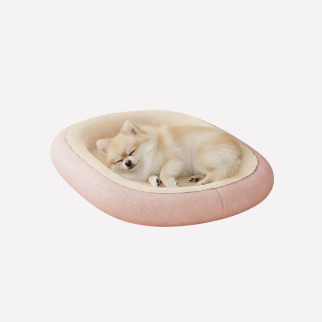 Plush Orthopedic Dog Mattress - Peties