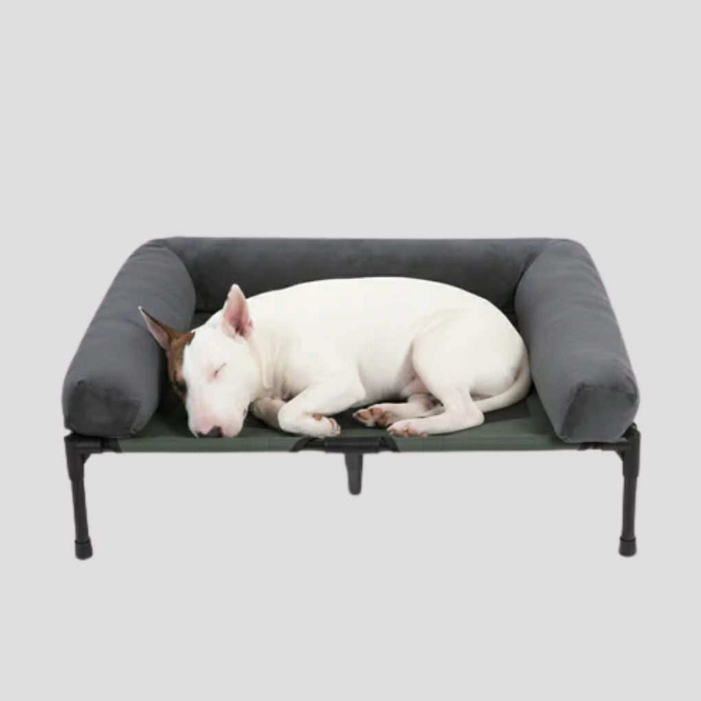 Comfortable Elevated Dog Bed Large Breed – L