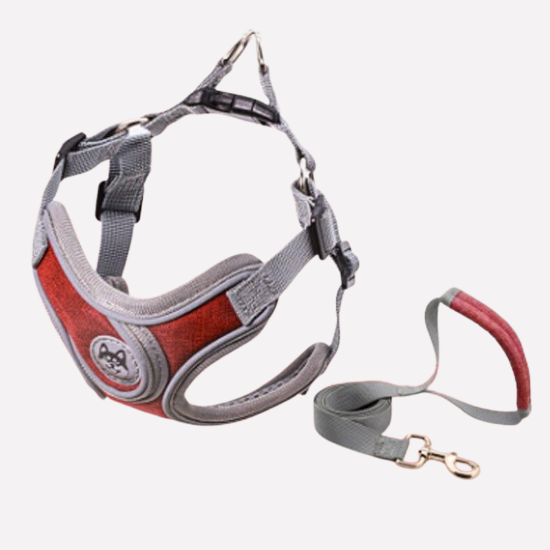 Puppy Walking Harness Adjustable Vest Kit - Peties