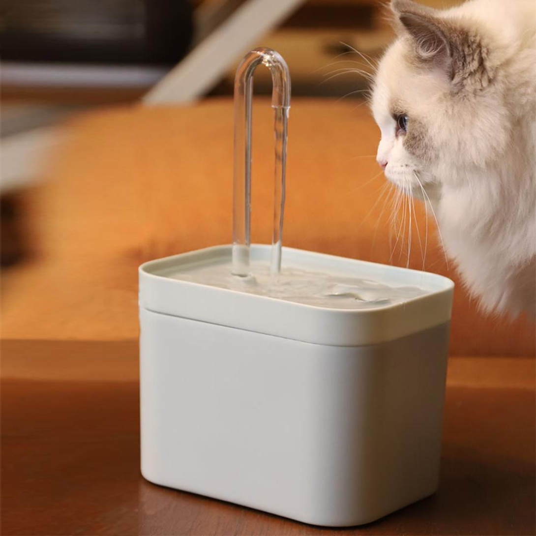 Easy Clean Raised Cat Dish - Peties