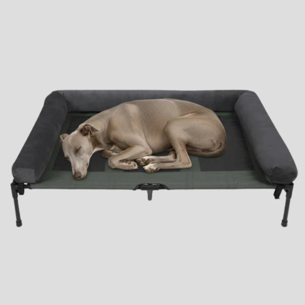Comfortable Elevated Dog Bed Large Breed – XL