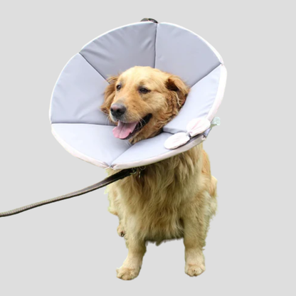 Comfortable Pet Safety Collar for Dogs