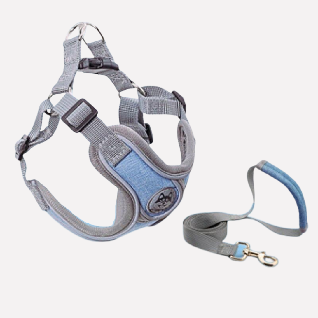 Puppy Walking Harness Adjustable Vest Kit