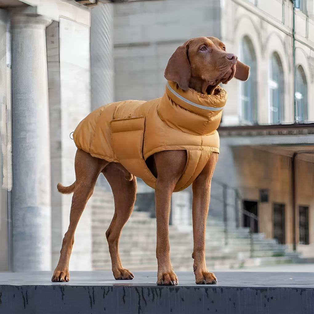 Waterproof Dog Vest for Cold Winter Days - Peties