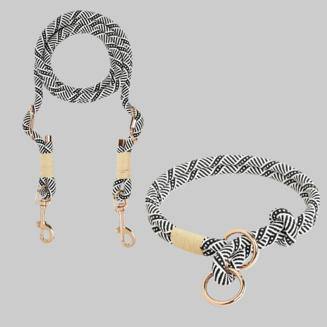 Easy Walk Dog Training Leash