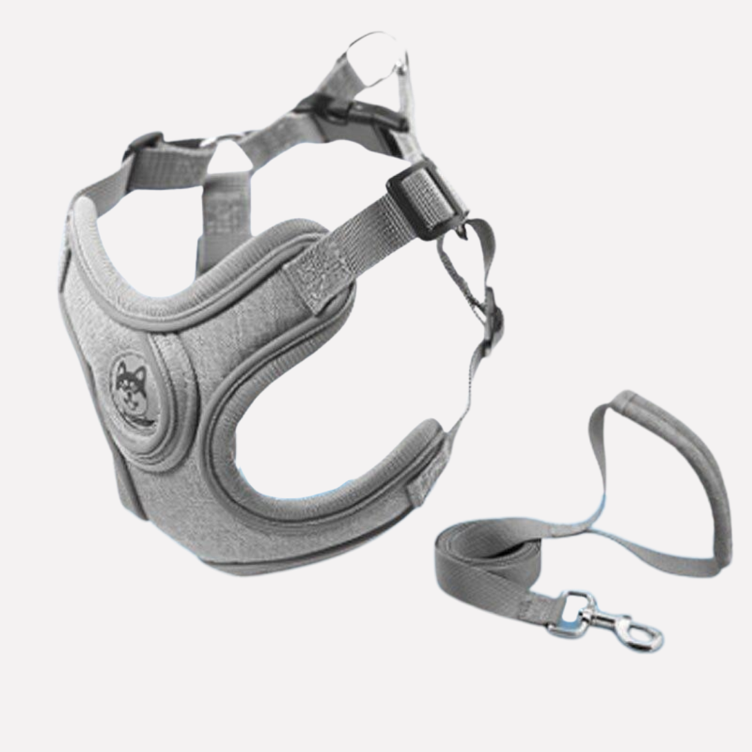 Puppy Walking Harness Adjustable Vest Kit