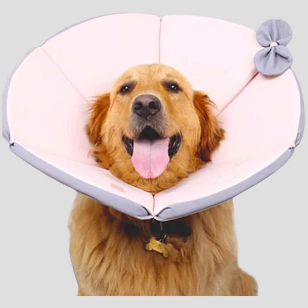 Comfortable Pet Safety Collar for Dogs
