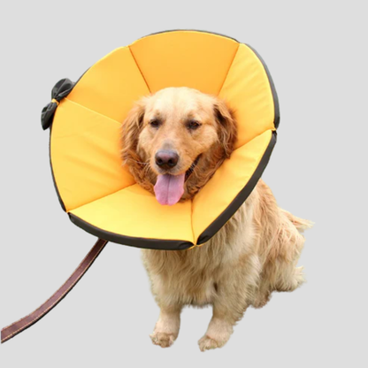 Comfortable Pet Safety Collar for Dogs