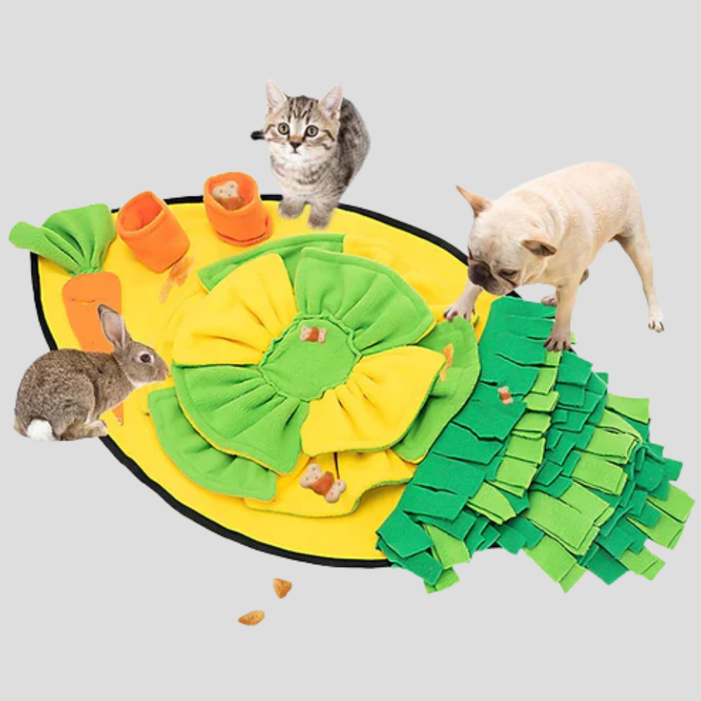 Interactive Dog Feeding Mat for Slow Eating