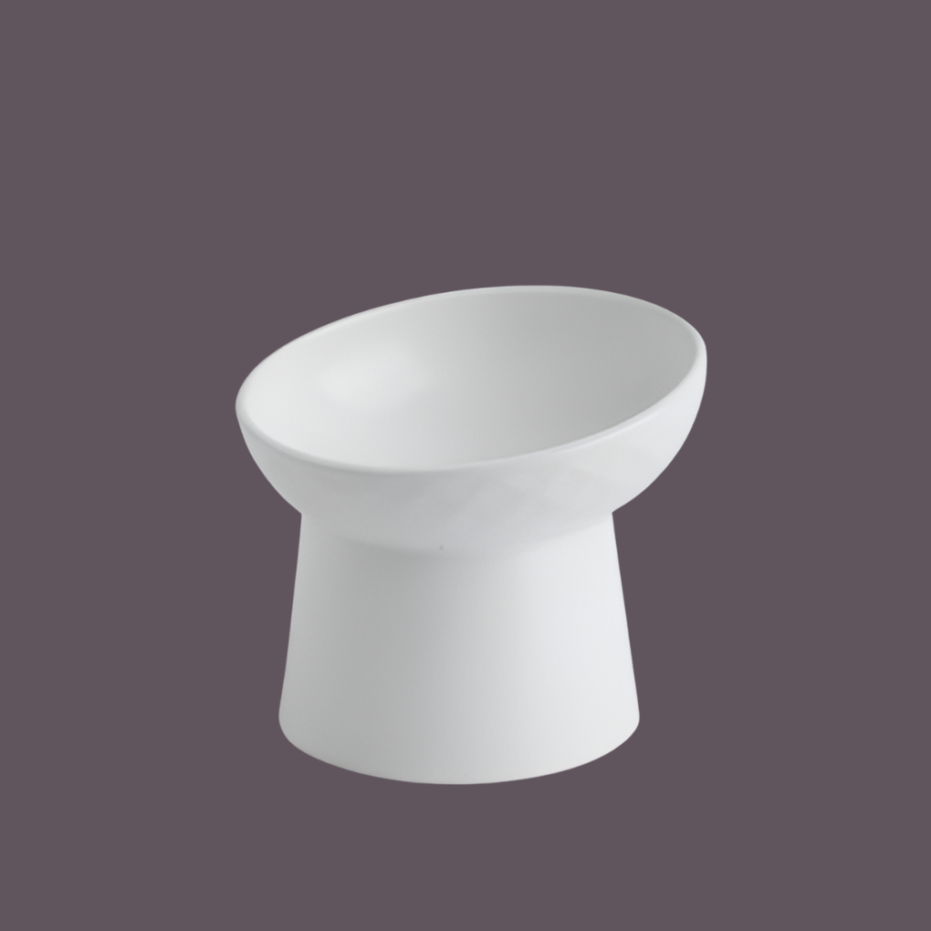 Modern Slanted Stoneware Pet Food Bowl – White