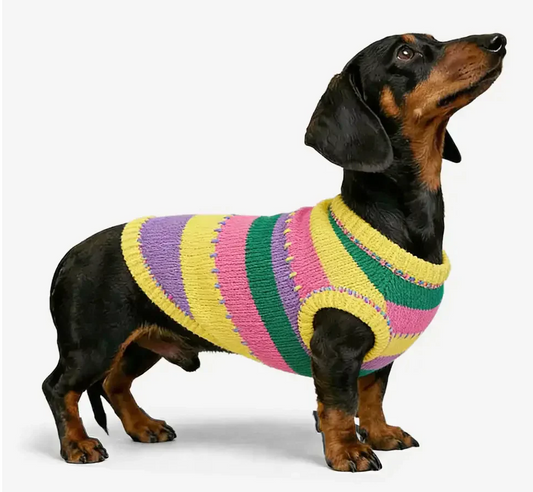 Vibrant Multi-Colored Dog Vest - Peties