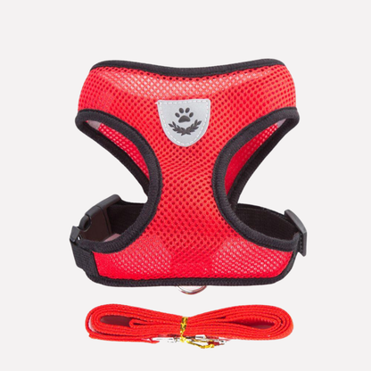 Comfortable Air Mesh Dog Harness Set