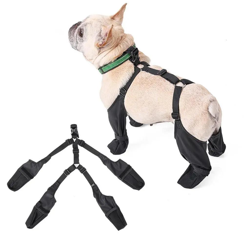 French Bulldog wearing black suspender dog boots, with the set laid out flat beside it