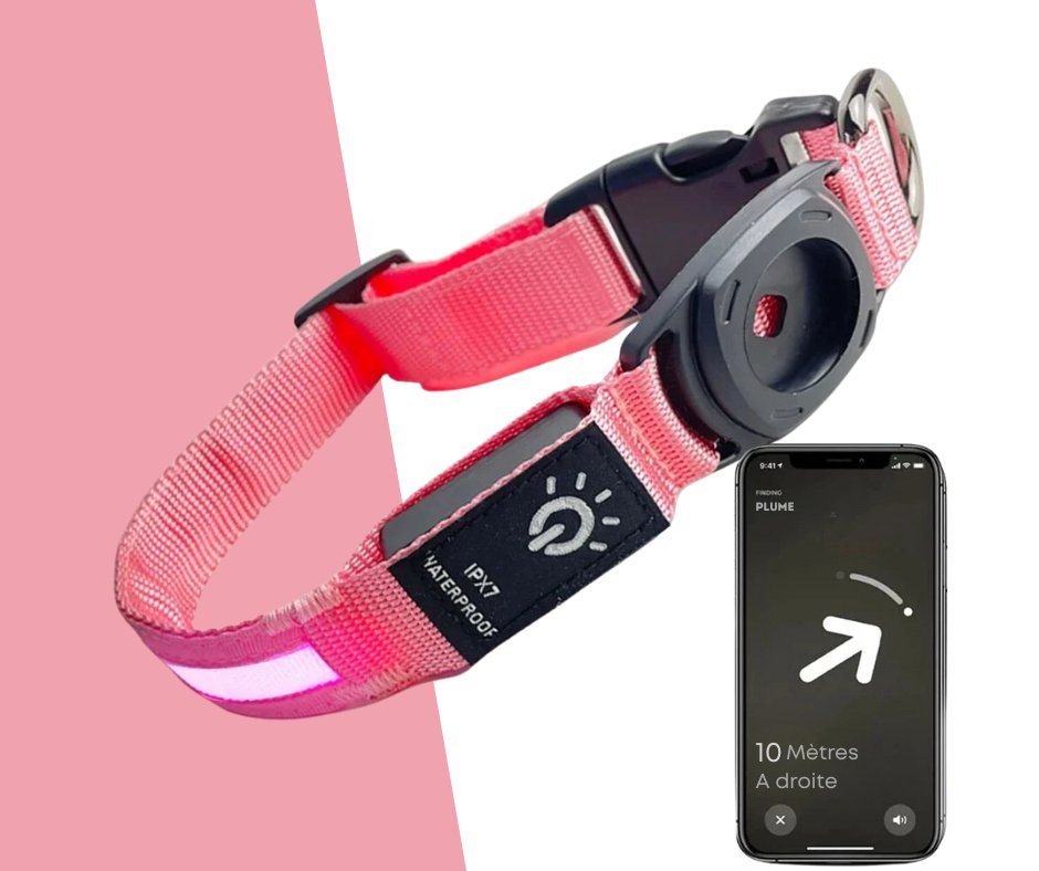 Airtag-Compatible Dog Collar – LED Light, Waterproof & GPS-Ready
