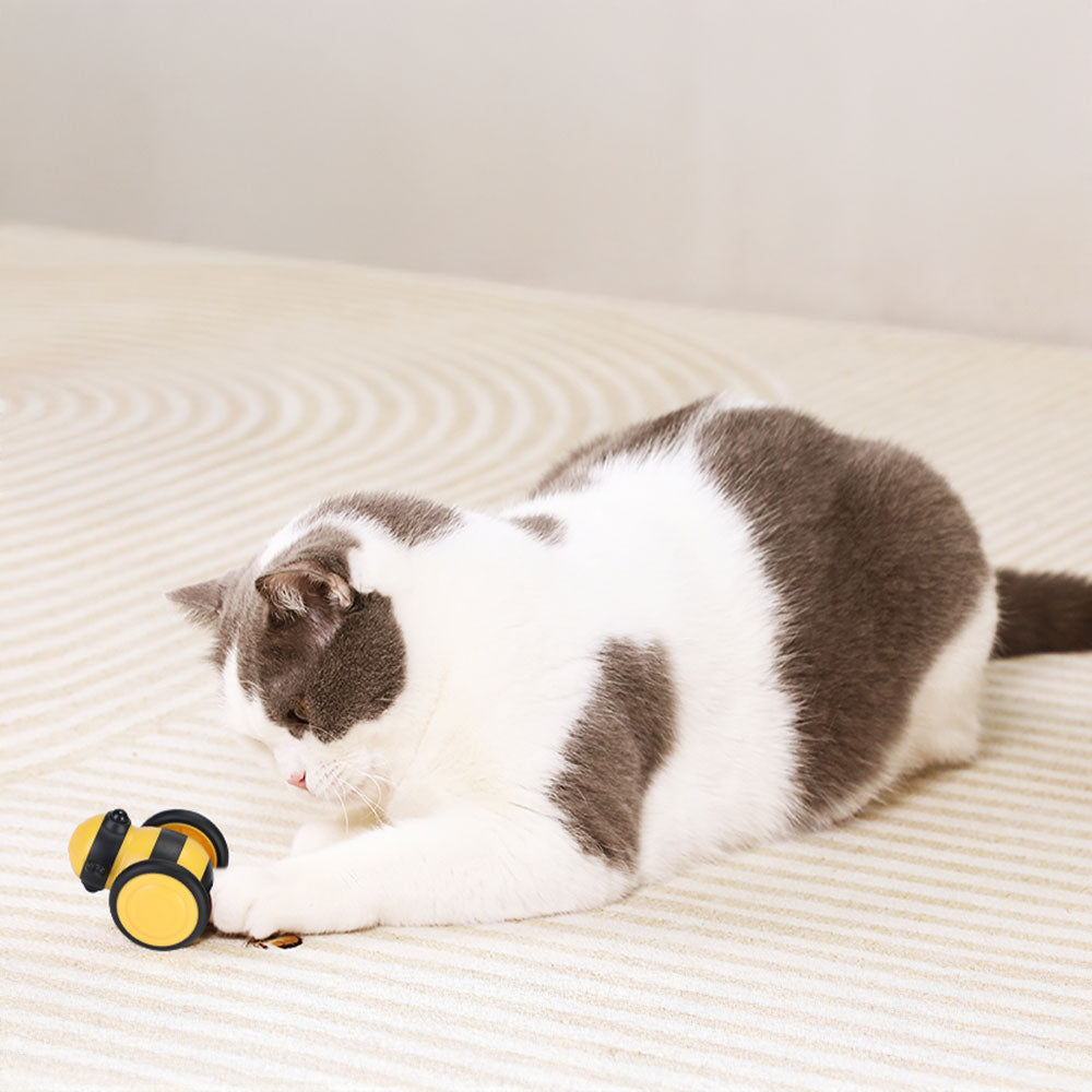Automatic Cat Chase Toy – Smart Motion Ball with LED & Obstacle Avoidance