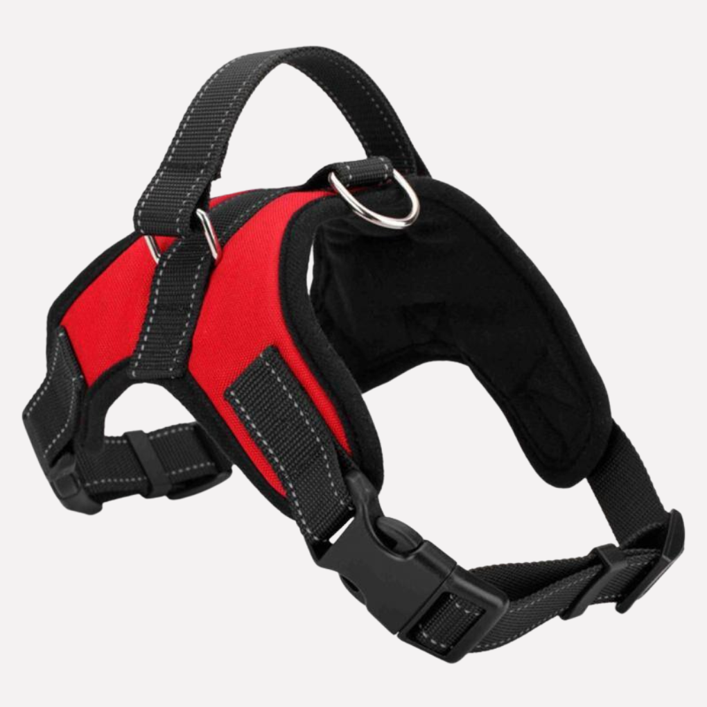 Pet Puppy Collar Leash Set