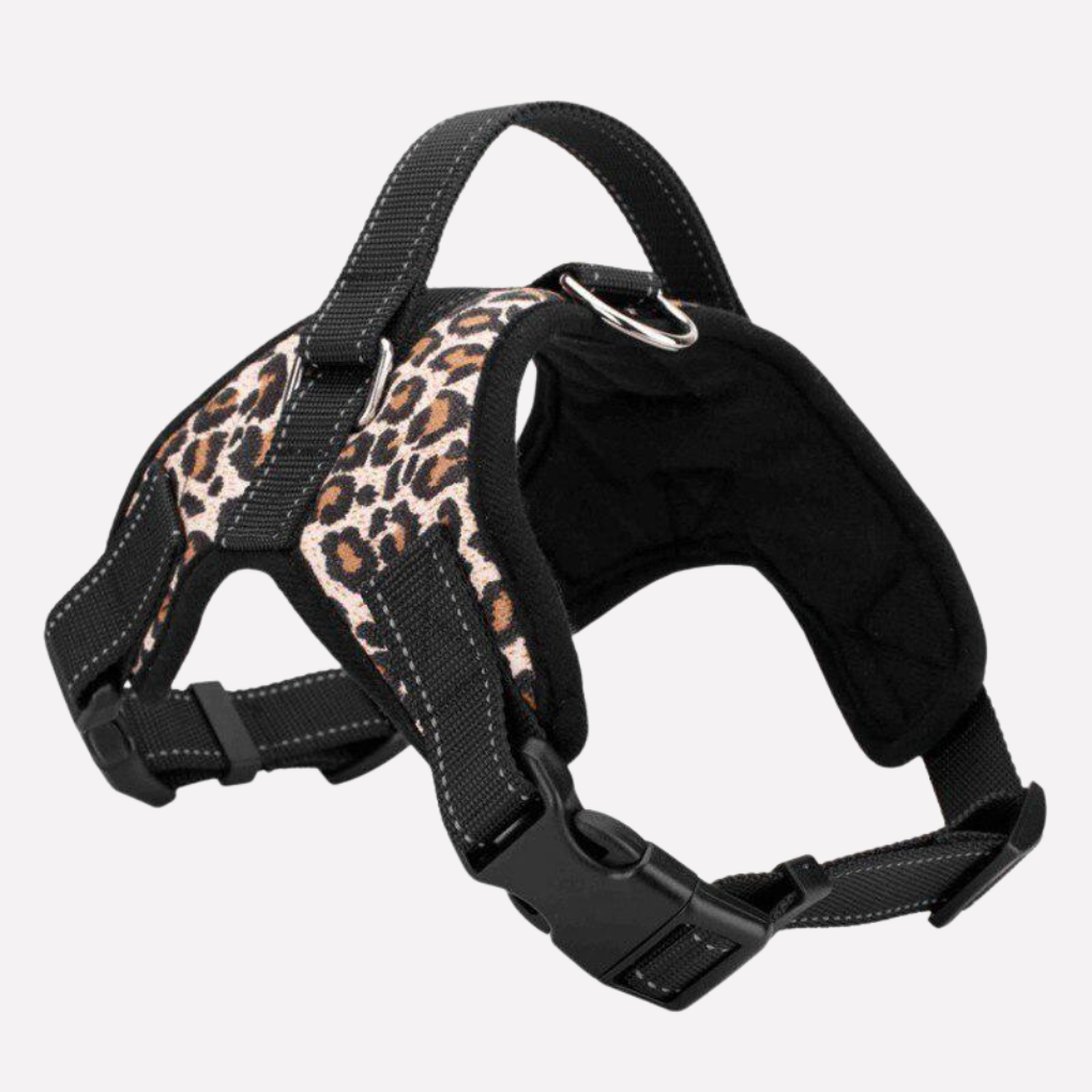 Pet Puppy Collar Leash Set