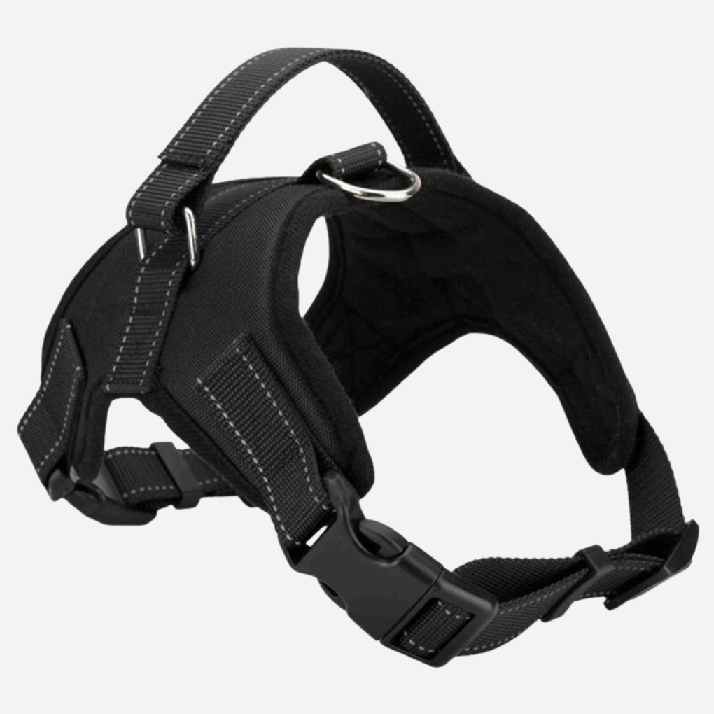 Pet Puppy Collar Leash Set - Peties