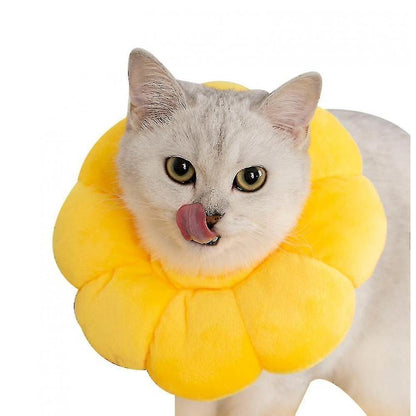 Flora Cat Cone Collar Recovery