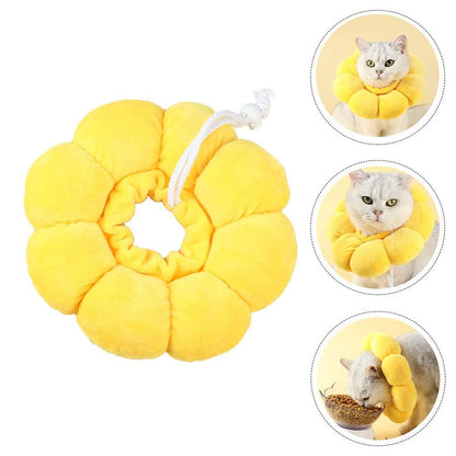 Flora Cat Cone Collar Recovery