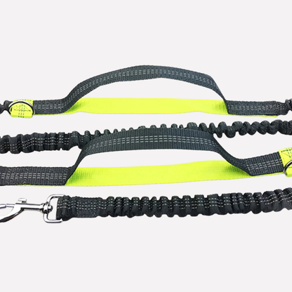Easy Walk Dog Running Lead