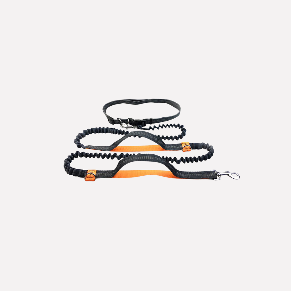 Easy Walk Dog Running Lead