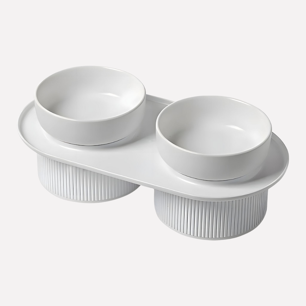 Premium Raised Pet Food Bowl