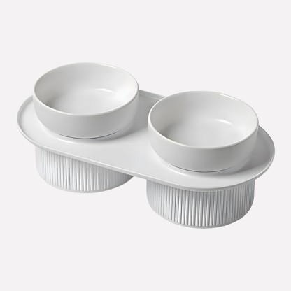 Premium Raised Pet Food Bowl