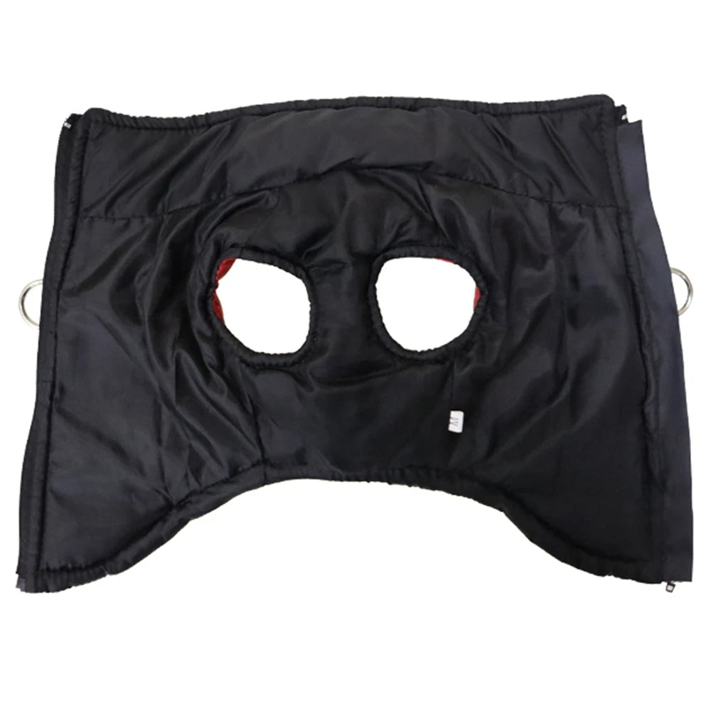 Waterproof Dog Winter Jacket – Keep Your Pet Warm and Dry