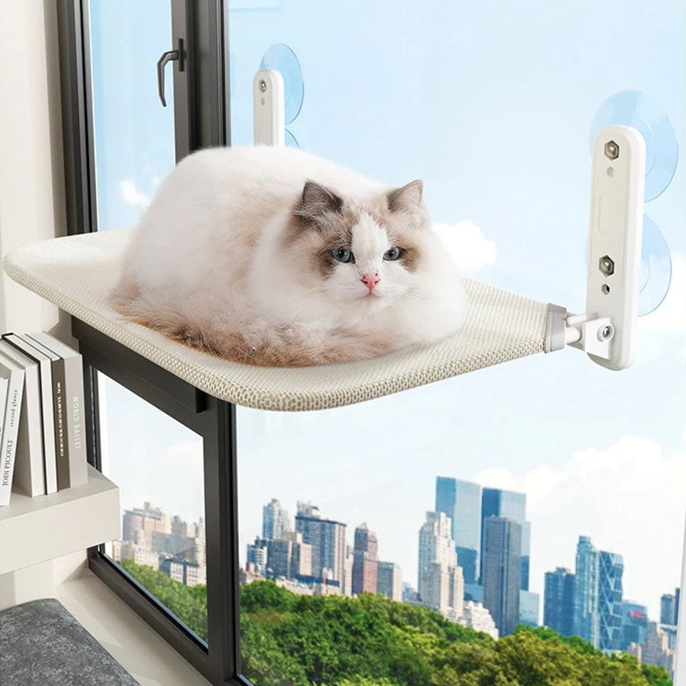 Foldable Cat Window Perch – Sturdy Suction Cup Hammock for Indoor Cats