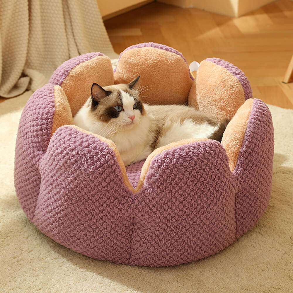 Plush Desert Cactus Pet Bed – Comfortable Sleep