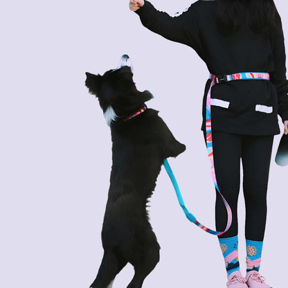 Multifunctional Hands Free Dog Leash - Reflective Collar