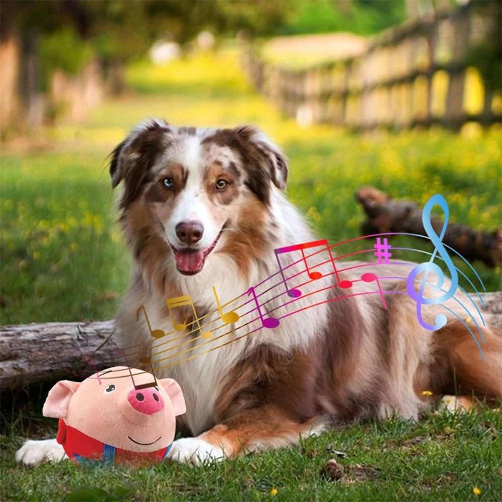 Interactive Dog and Cat Piggy Toy - Jumping Piggy Ball