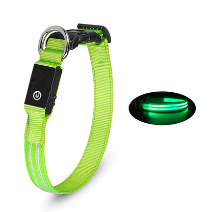 LED Glowing Dog Collar - Dog Tactical Collar