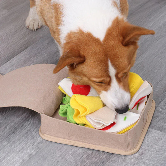 Fun Interactive Pet Dog Toys - Peties