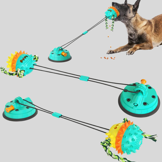 Fun Kids Companion - Peties