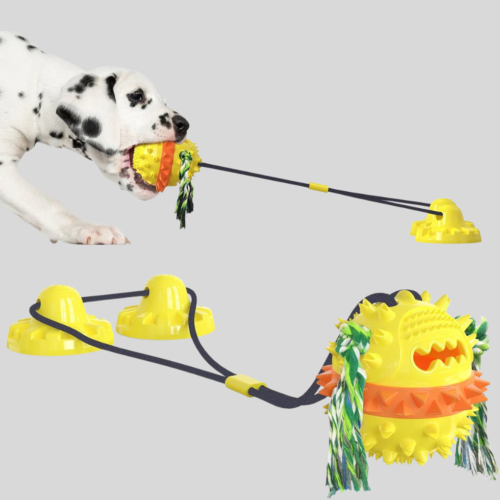 Fun Kids Companion