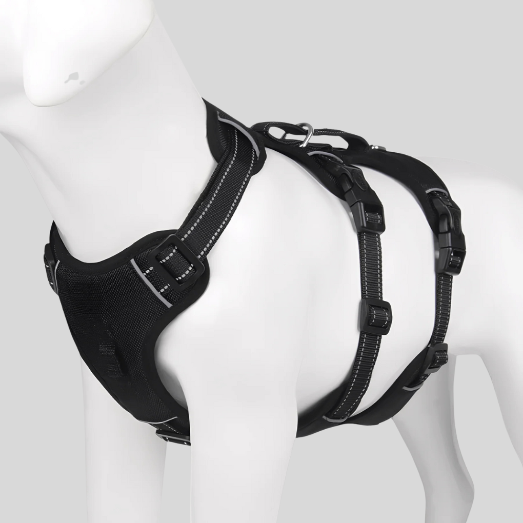 Comfortable Pet Walking Harness