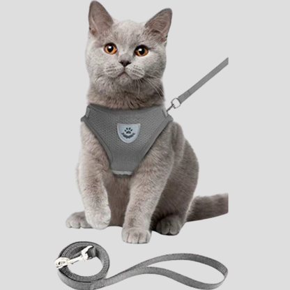 Kitten Walking Vest with Lead Set