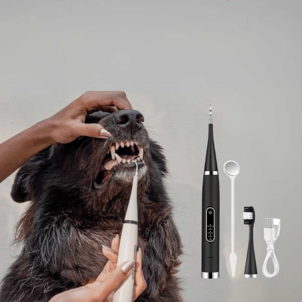 Complete Heavy Duty Brush Set - Peties