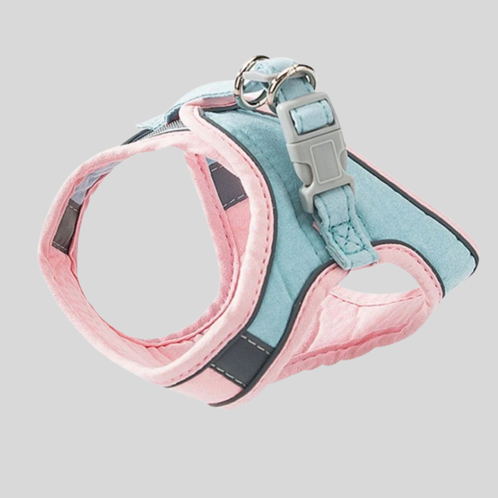 Pet Kitten Walking Harness Set