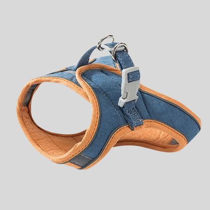 Pet Kitten Walking Harness Set