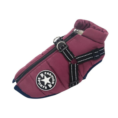 Winter Dog Jacket with Harness – Purple