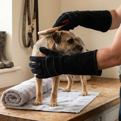 Anti-Bite and Scratch Protective Gloves – black gloves steadying a terrier during grooming