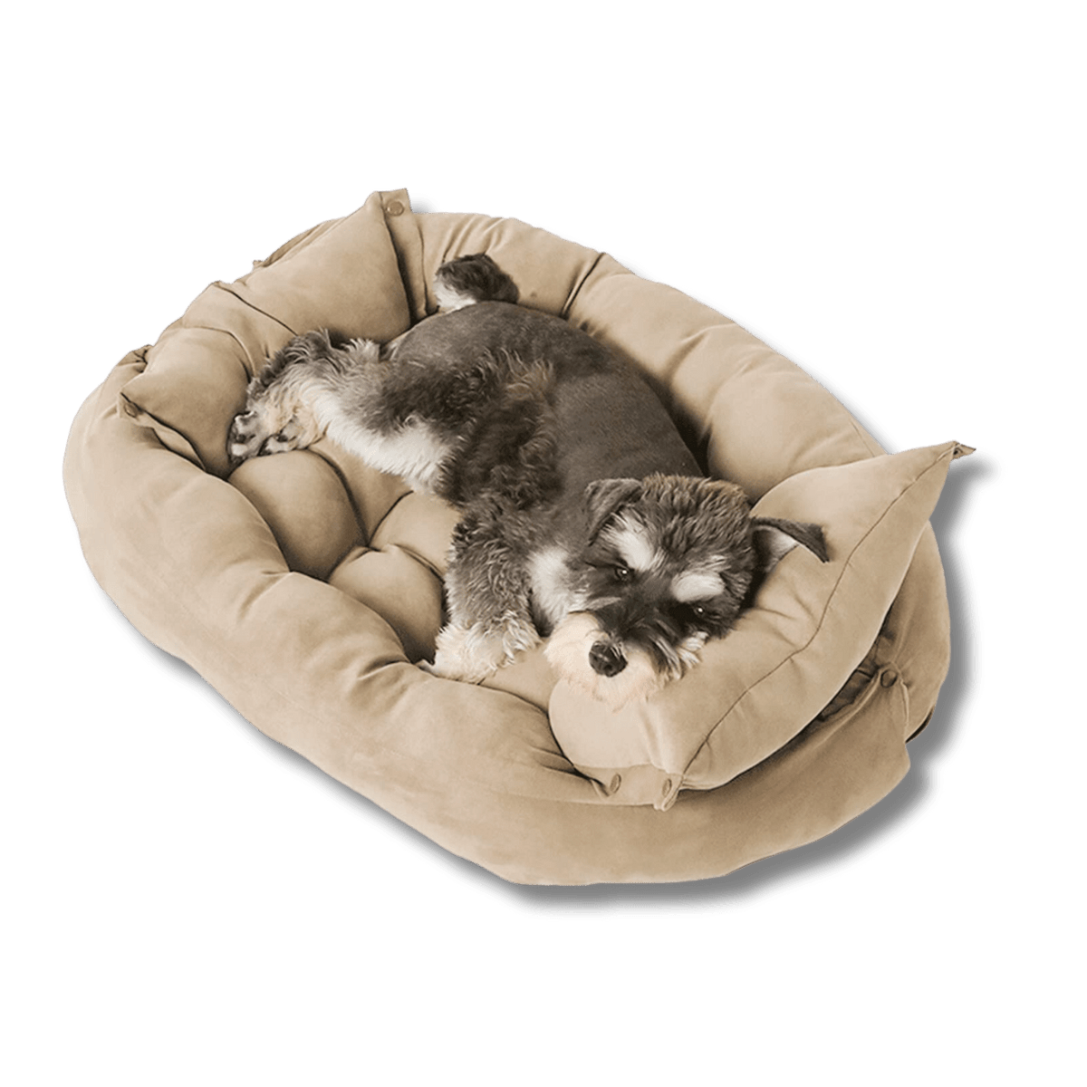 Comfy 3-in-1 Folding Dog Sofa Bed - Peties