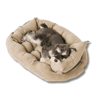 Comfy 3-in-1 Folding Dog Sofa Bed - Peties