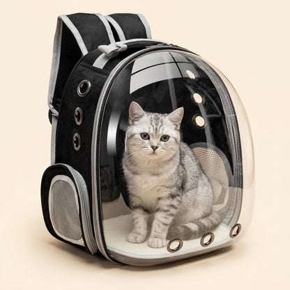 Transparent Bubble Cat Backpack in black with a silver tabby cat sitting inside, studio photo on cream background